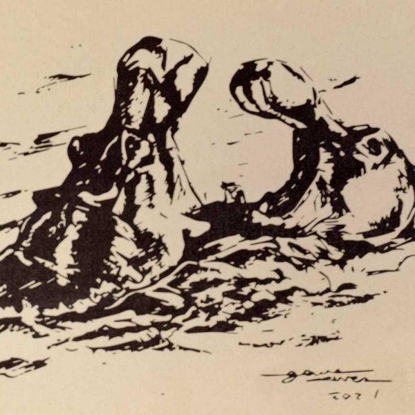 Paños de algodón 100% - Imagen 2