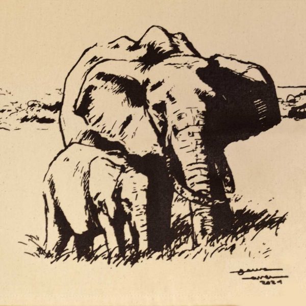 Paños de algodón 100%