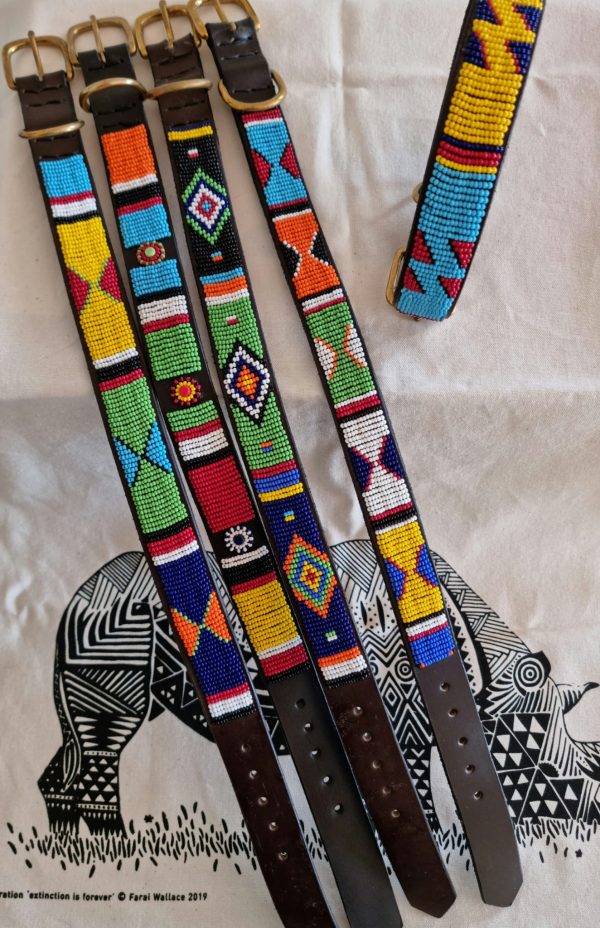 Collar perro mediano