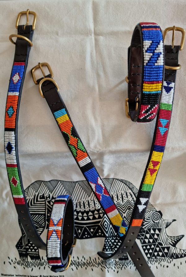 Collar perro pequeño