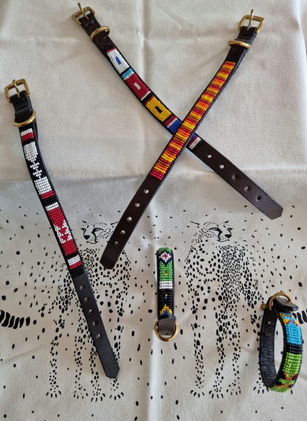 Collar gato-perro pequeño